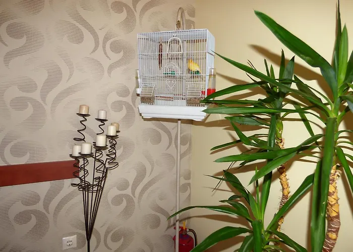 Hotel de apartamente Dolphins & 3*